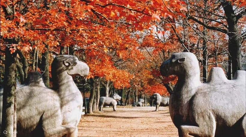 Nanjing:Must-See Attractions in One Day+Customized Itinerary - Price and value: $198 per person, private and guided