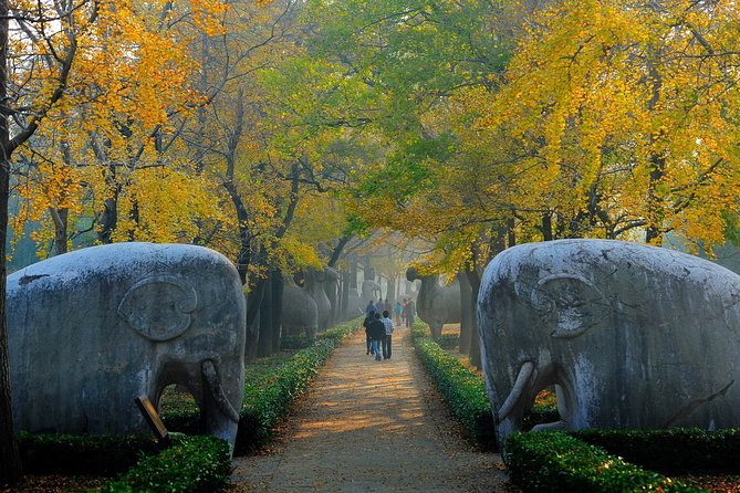 Nanjing Private English Tour Guide Service - Picking your Nanjing sights: Mausoleum, Tomb, Confucius, and Zhonghua Gate
