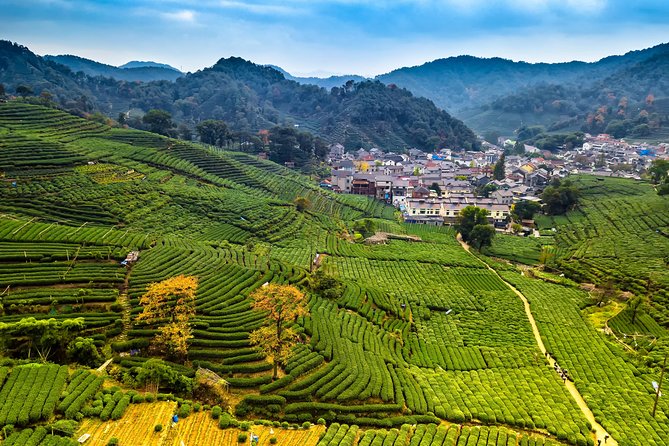 One-Day Hangzhou Dragon Well Tea Culture & West Lake Private Tour - A Tea-First Day Around Hangzhou’s West Lake