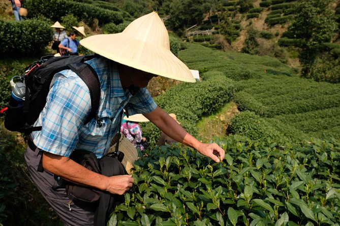 One-Day Hangzhou Dragon Well Tea Culture & West Lake Private Tour - Price and Value: What $270 Per Person Actually Buys