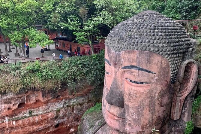 One Day Trip to Chengdu Panda Base and Leshan Buddha Tour - Why this panda-and-Buddha combo makes sense