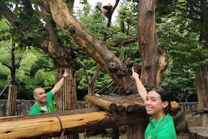 One Day Trip to Chengdu Panda Base and Leshan Buddha Tour - Stop 2: Chengdu Research Base of Giant Panda Breeding (Xiongmao Jidi)