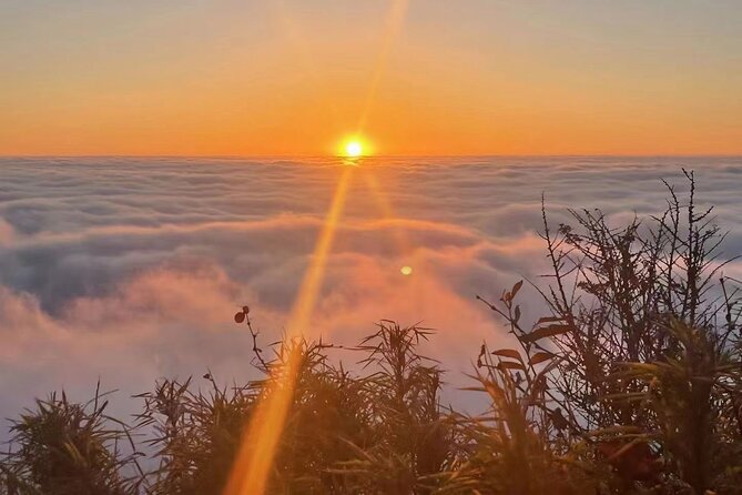 Panda, Leshan, and Emei Mountain 2-day tour - Two Days in Chengdu: Pandas, UNESCO Buddha, and Mount Emei’s Sacred Mountain