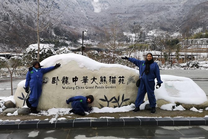 Panda Volunteer expperience in Dujiangyan or Wolong Panda Base - Dujiangyan or Wolong, and why the morning drive is part of the deal