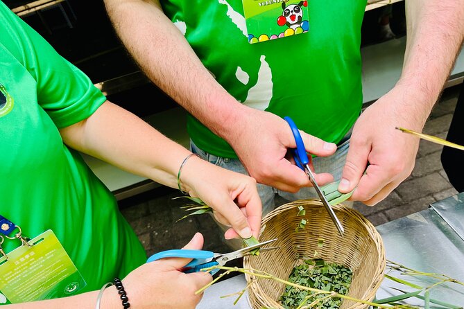 Panda Volunteer expperience in Dujiangyan or Wolong Panda Base - The pace: why this is a rough schedule and how to plan your day