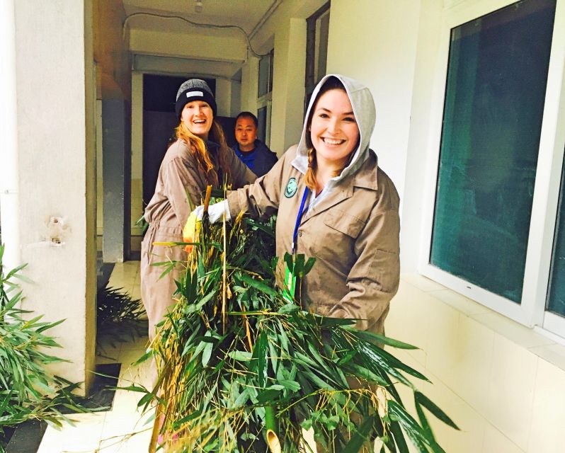 Panda Volunteer Project Day Trip(Wolong/Du Jiang Yan) - Quick hits before you book
