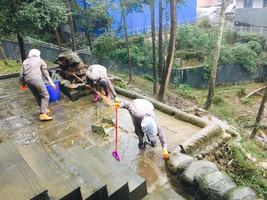 Panda Volunteer Project Day Trip(Wolong/Du Jiang Yan) - Giant Panda Volunteering vs. a Typical Zoo Stop
