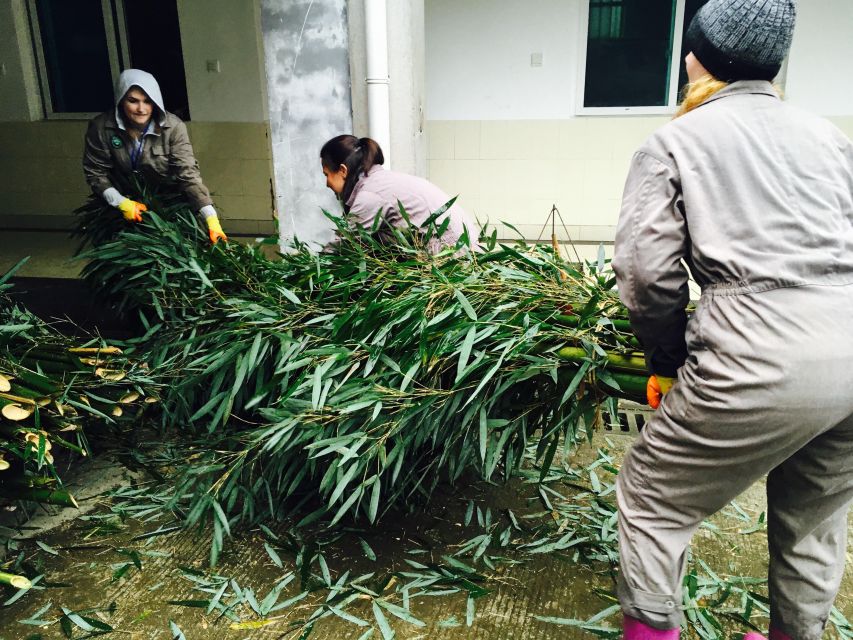 Panda Volunteer Project Day Trip(Wolong/Du Jiang Yan) - Price and Logistics Reality Check: What $115 Covers, and What You Still Pay