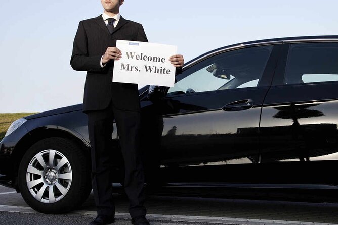 Private Arrival Transfer from Beijing Airport to Hotel - Key things I’d zero in on before you book