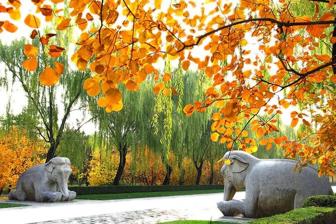 Private Beijing Day Trip: Mutianyu Great Wall and Ming Tombs - A 9-hour day that stays sane: timing, travel, and pacing