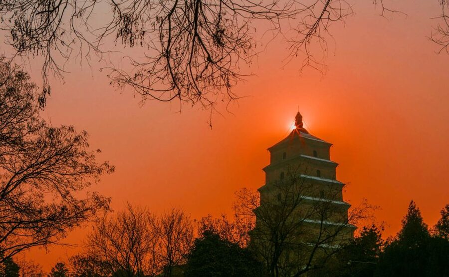 Private Big Wild Goose Pagoda Buddhism Walking Tour - Who this private Big Wild Goose Pagoda tour fits best