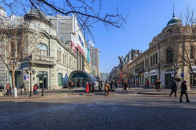 Private Customized Harbin City Day Tour by Public Transportation - Getting around Harbin by public transportation, with a guide who explains it
