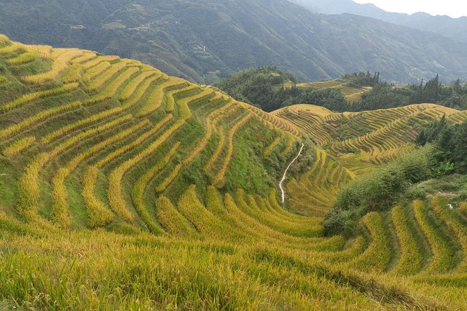 Private Day Tour: Longji Rice Terraces and Long Hair Village - Huangluo Long Hair Village: Yao Hair, Village Life, and Clear Explanations
