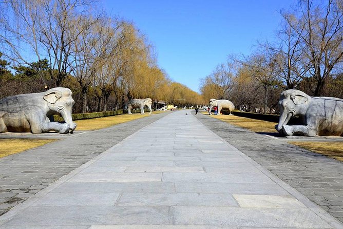 Private Day Tour of Juyongguan Great Wall and Sacred Way from Beijing - Sacred Way Dongbeikou: The Statue Road You Will Actually Understand