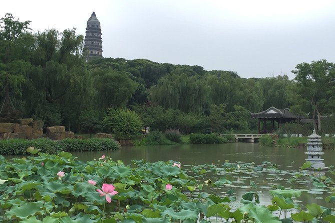 Private Day Tour: Suzhou Incredible Highlights from Shanghai by Car or Train - Private guide perks: what you can ask for on the spot