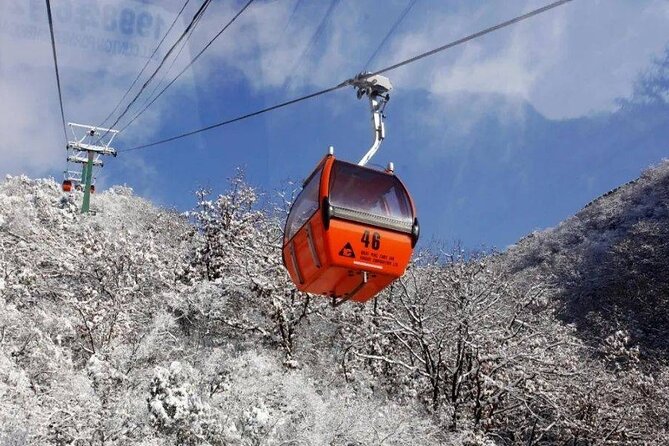 Private Day Tour to Beijing Mutianyu Great Wall - What to expect during your 4 to 8 hour day