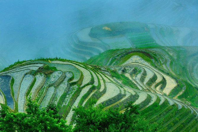 Private Day Tour to Longji Rice Terraces and Long Hair Village from Guilin - Price and Value for a Private Day: When $158 Makes Sense