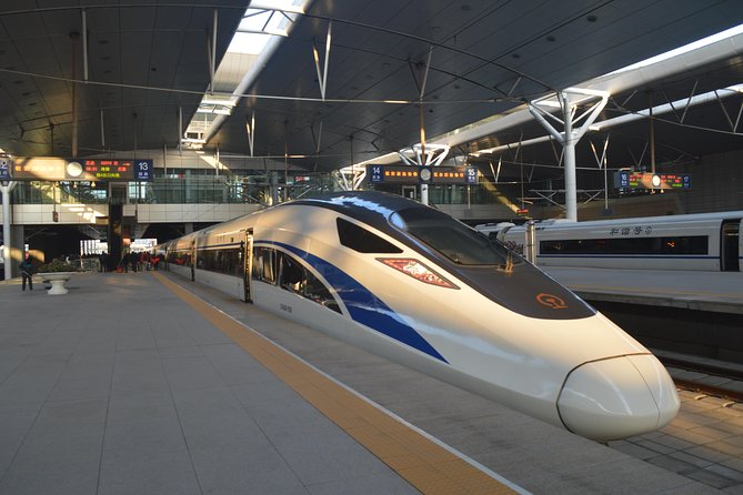 Private Day Trip to Terracotta Army from Beijing by Bullet Train - Xian North meeting, then a focused 2.5-hour museum visit