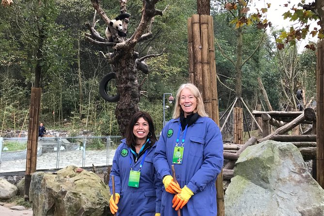 Private Dujiangyan Panda Base Panda Rescue Center Volunteer for a Day - Getting from Chengdu: the 7:00 am pickup that sets the tone
