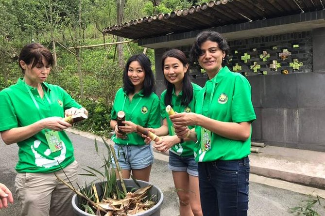 Private Dujiangyan Panda Base Panda Rescue Center Volunteer for a Day - Orientation, overalls, and center rules you should respect