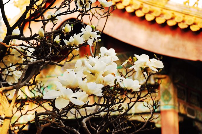 Private Flexible Beijing City In-Depth Walking Tour w/ Your Fancy - Price and value: what $106 buys for an 8-hour private day