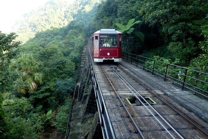 Private Full-Day Hong Kong Island Top Attraction Tour - Door-to-door transport that actually buys you time