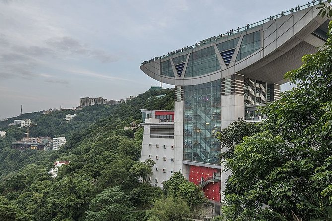 Private Full-Day Hong Kong Island Top Attraction Tour - Price and what you are really paying for at $310 per person
