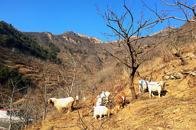 Private Great Wall Hiking Tour: Across The Border of 3 China Provinces - Who Should Book This Great Wall Hiking Tour, and Who Might Pass