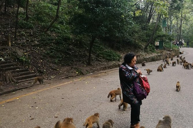 Private Guiyang Day Tour including Qingyan Ancient Town and Qianling Park - Morning at Qianlingshan Park: Tai Chi, Cards, and Wild Monkeys