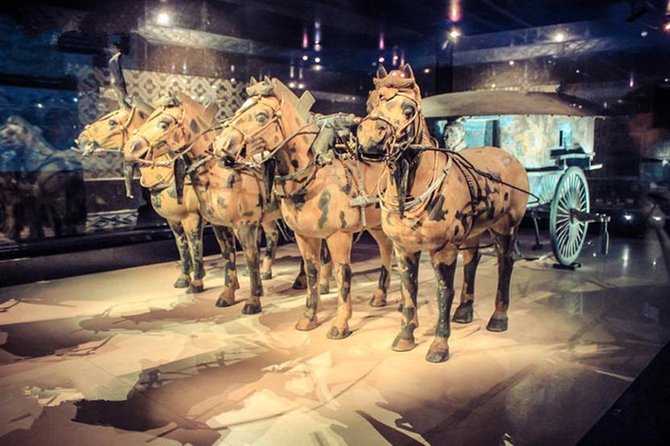 Private Half-Day Tour of Xi'an Terracotta Warriors - The Terracotta Warriors work best with a guide and a schedule