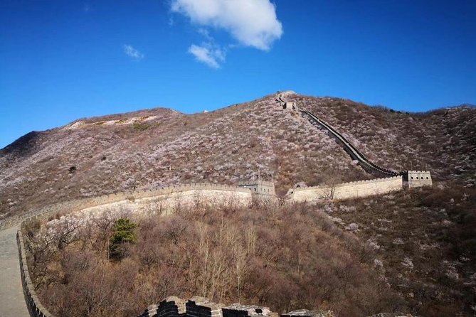Private Layover Tour to Mutianyu Great Wall and Forbidden City - The Real Logistics Secret: Your Layover Needs About 10 Hours