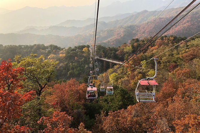 Private Layover Tour to Mutianyu Great Wall from Beijing Airport - How the rest of the day flows: lunch option and a tea ceremony