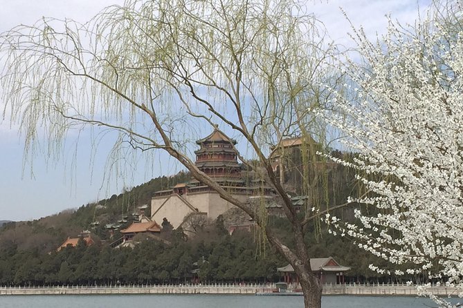 Private Summer Palace Walking Tour + Custom Scenic Route Add-Ons - Tower of Buddhist Incense on Longevity Hill: views plus a central-axis moment