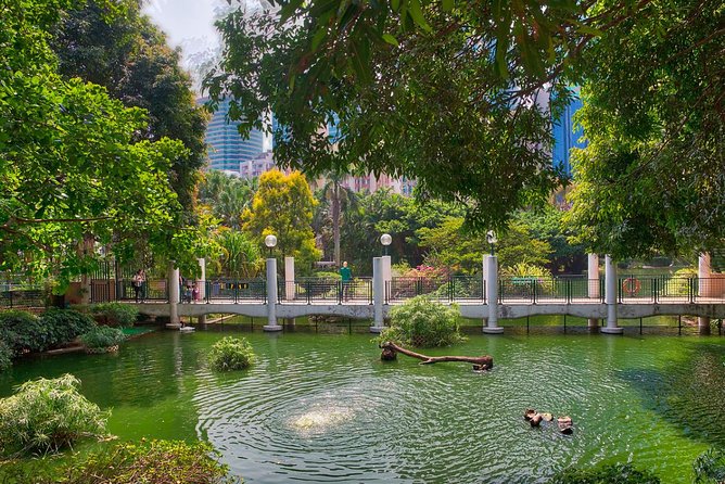 Private Tour: Customized 6-Hour Hong Kong City Tour - What You Should Know Before You Go