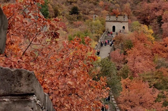 Private Tour: Forbidden City and Mutianyu Great Wall with Cable Car or Toboggan - Tiananmen Square Morning Walk: Get Oriented Before You Go In