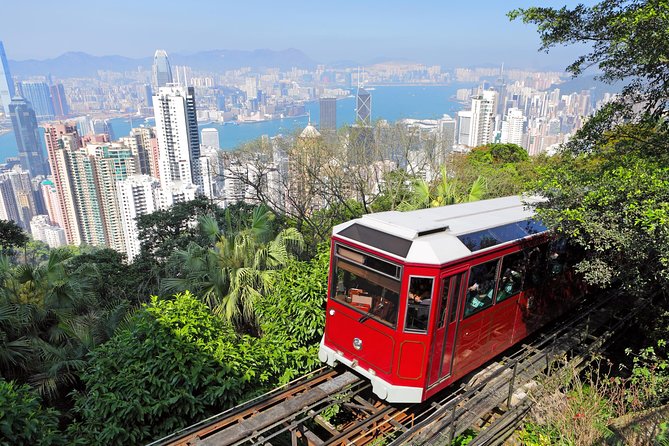 Private Tour: Half-Day Highlights Tour of Hong Kong Island - Pickup in Kowloon at 9 am: how the logistics feel in real life