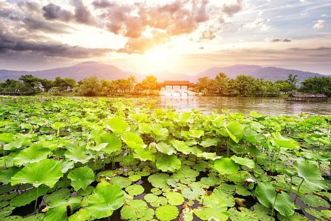 Private Tour Hangzhou West Lake and Tea Fields Discovery - Key highlights worth your attention