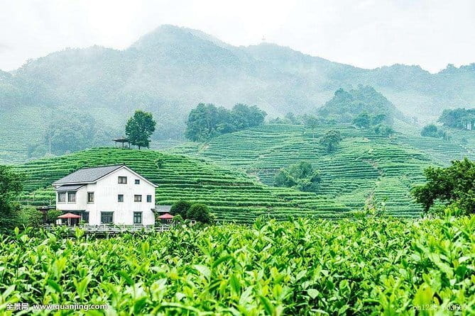 Private Tour Hangzhou West Lake and Tea Fields Discovery - Should you book this Hangzhou West Lake and tea fields tour?