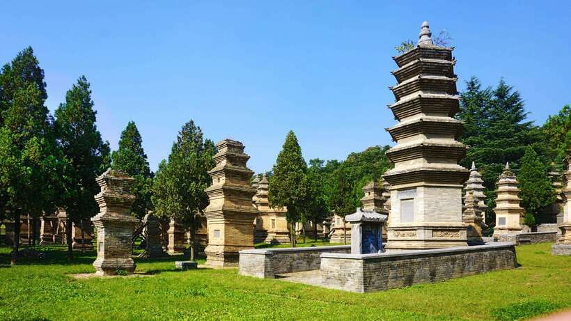 Private Tour: Longmen Grottoes, Shaolin Temple & Kungfu Show - Vairocana Buddha and what to look for in the statues