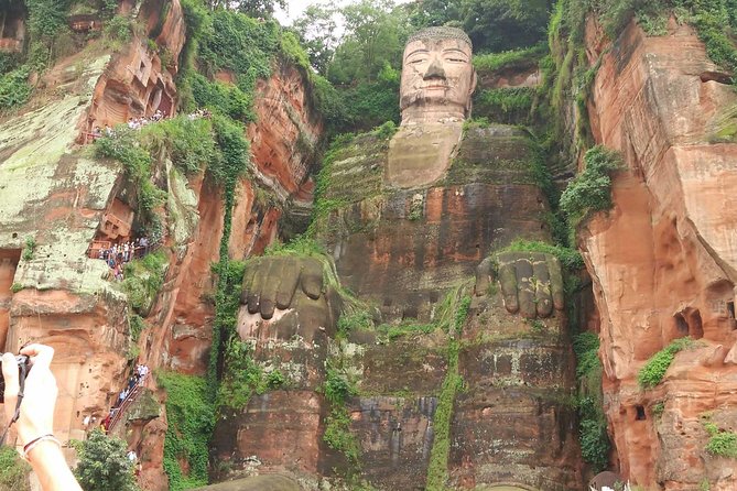 Private Tour of Chengdu Panda Center and Leshan Giant Buddha - Pace and fitness: the one consideration you should plan around