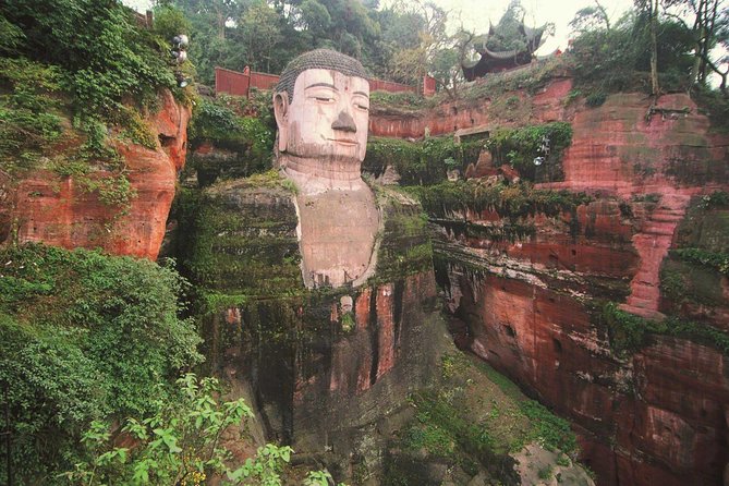 Private Tour of Chengdu Panda Center and Leshan Giant Buddha - Value check: what you are really paying for