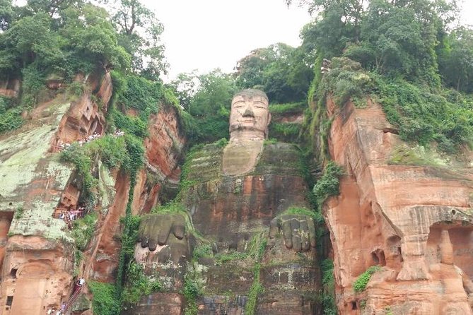 Private Tour of Chengdu Panda Center and Leshan Giant Buddha - Giant Panda Research Base: what to expect at Xiongmao Jidi