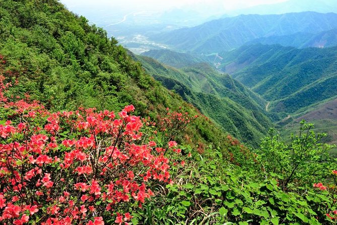 Private Tour: Yao Mountain and Tea Plantation from Guilin - Yao Mountain by Chairlift, From Roadside to Summit Views