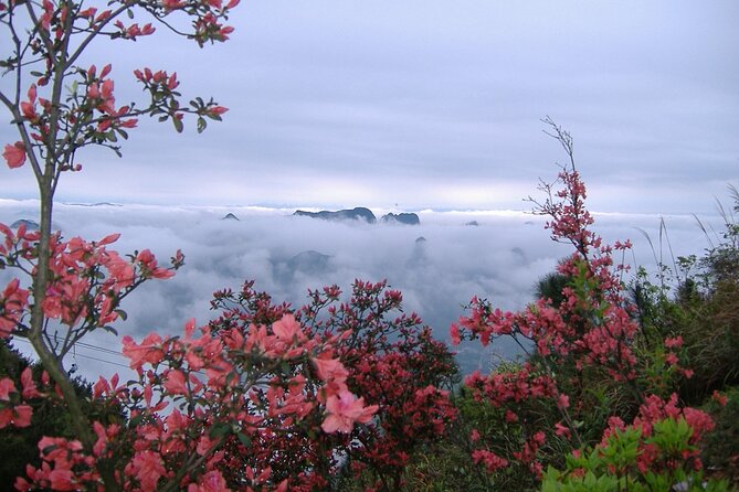 Private Tour: Yao Mountain and Tea Plantation from Guilin - The Tea Production Tour and Green Tea Sampling