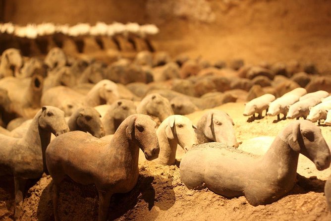 Private Xi'an Tour: Terracotta Warriors, Hanyangling Museum, Cave Homes - Farmers Caves and Yaodong Homes: Small Time, Big Perspective