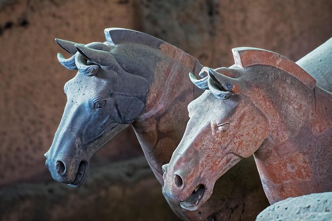 Private Xi'an Tour: Terracotta Warriors, Hanyangling Museum, Cave Homes - Who Should Book This Tour (And Who Might Want Options)