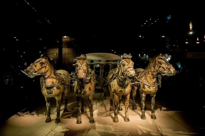 Private Xian Day Tour: Terracotta Warriors, Big Wild Goose Pagoda - Guide and driver: why this private setup is worth it