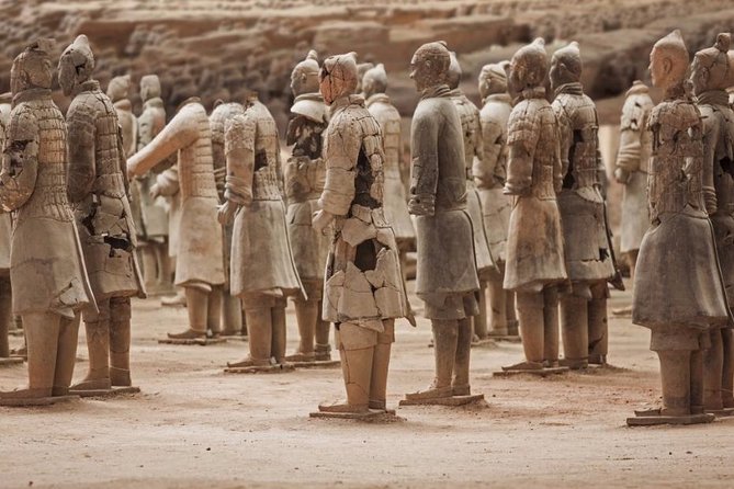 Private Xian Day Tour: Terracotta Warriors, Big Wild Goose Pagoda - Should you book this private Xian day tour?