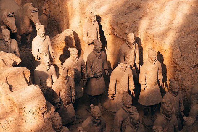 Private Xian Day Tour: Terracotta Warriors, Big Wild Goose Pagoda - Big Wild Goose Pagoda in the afternoon: Tang Dynasty, sutras, and Xuanzang