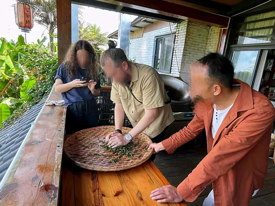 Puer Tea Picking and Tasting | 6 Hour Morning Trip - How the day starts: pickup from Jinghong or Pu’er